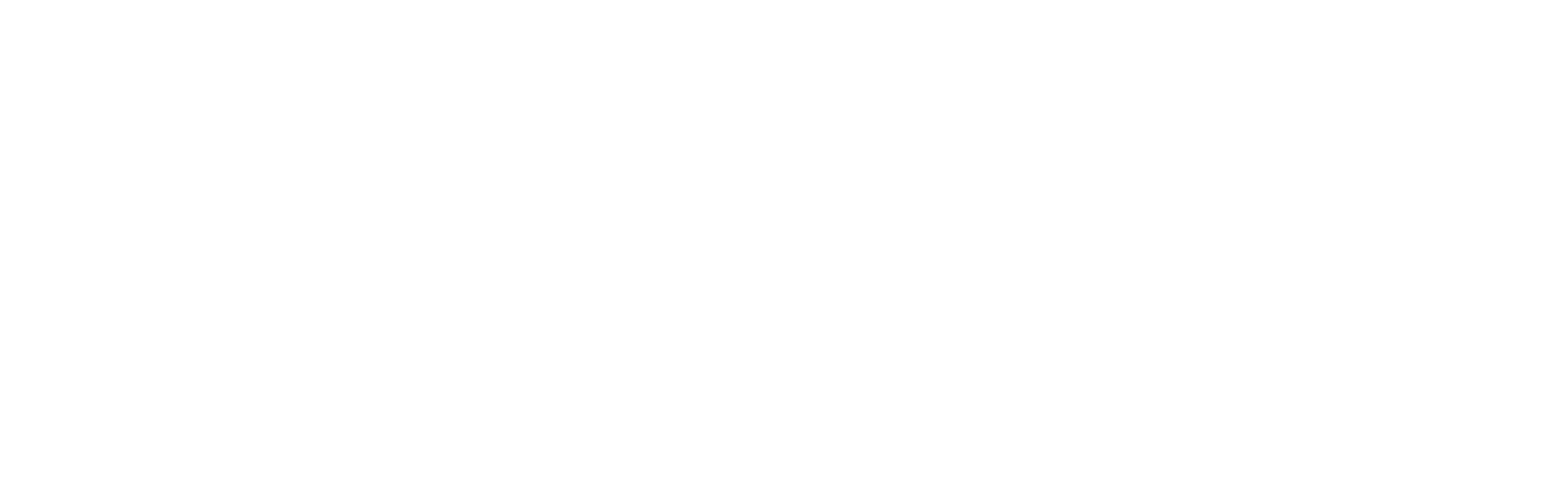 MVSEG