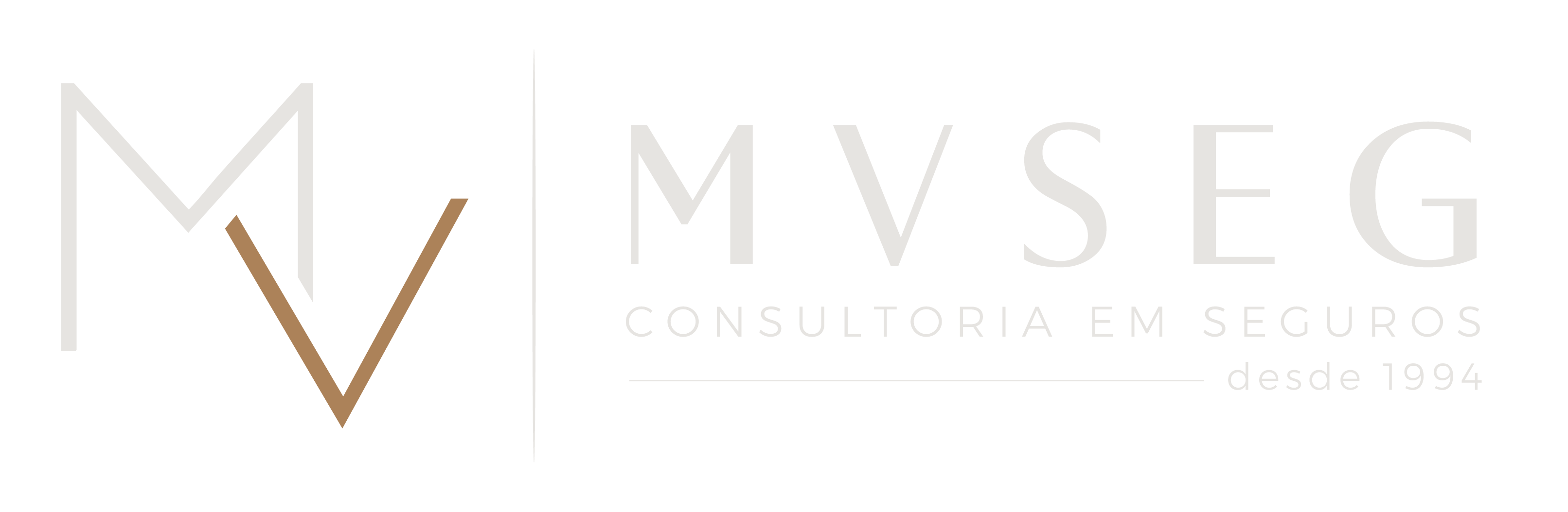 MVSEG